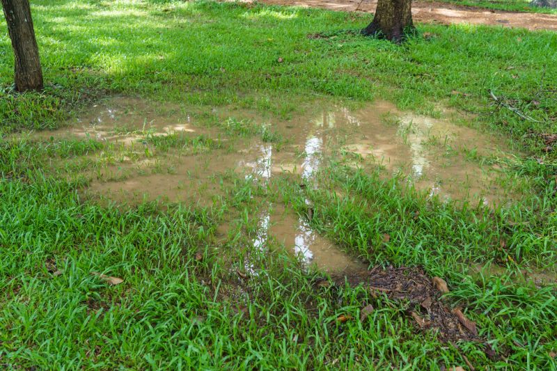 Cost of Water Landscaping — Cost of Water Landscaping