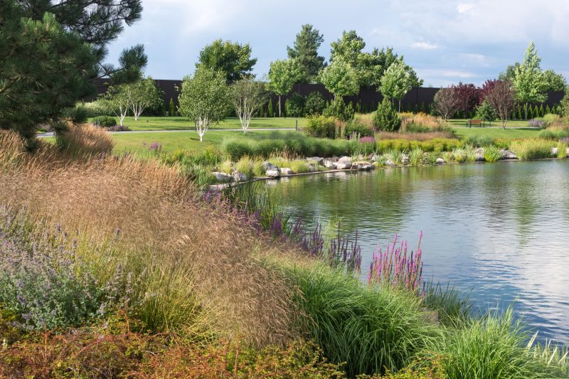 Serene Pond with Surrounding Plantings